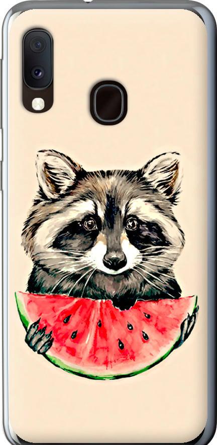 Чохол на Samsung Galaxy A20e A202F Єнотик з кавуном (4605t-1709-42517)