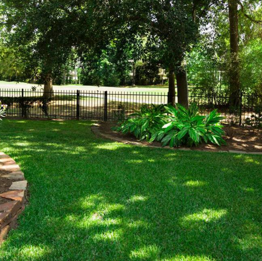 Насіння газонної трави GrassNature Тіньова 1 кг (24463212) - фото 2 Насіння газонної трави GrassNature Тіньова 1 кг (24463212) - фото 2