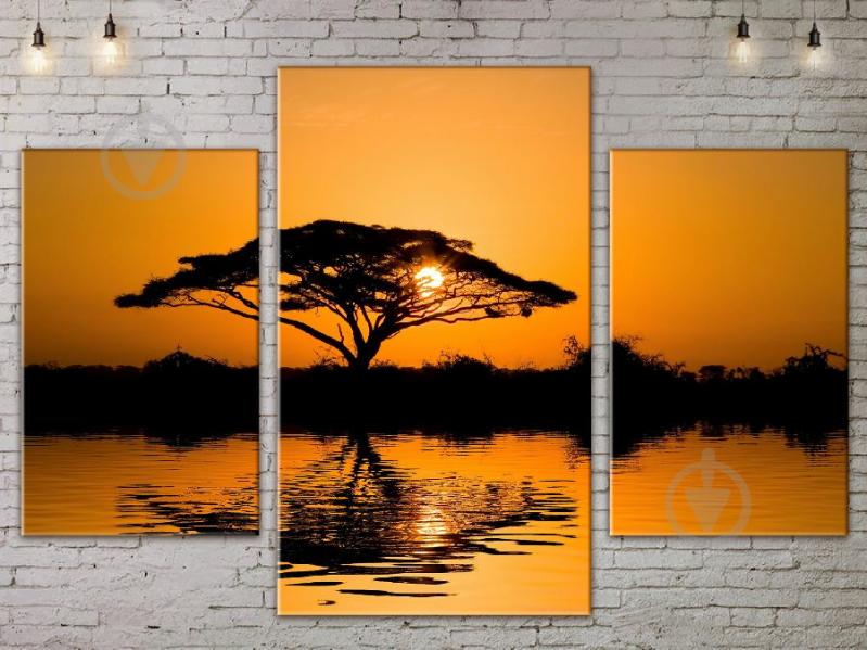 Модульная картина ArtStar ADNA0056 размер 70 х 105 см