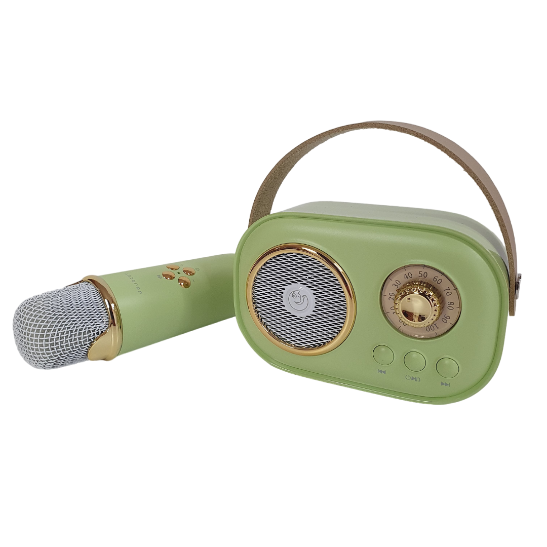 Портативная колонка ретро с караоке и микрофоном на аккумуляторе USB/Bluetooth (B93-R9-Green)