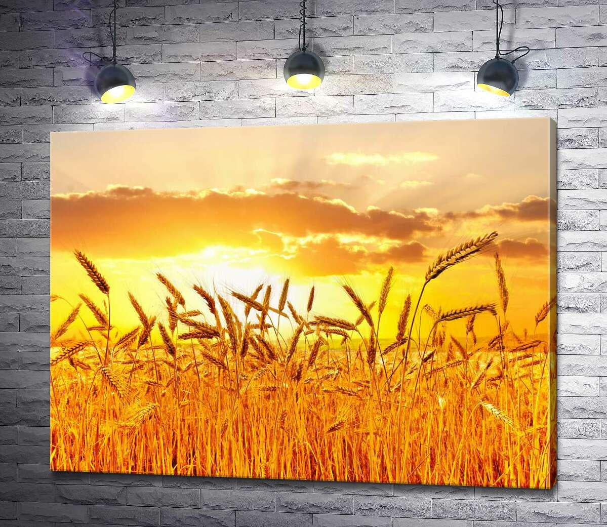 Картина ArtPoster Налитые колосья пшеницы в белых солнечных лучах 130x98 см Модуль №1 (000253)