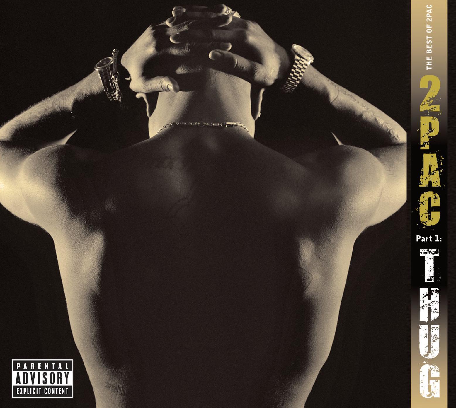 Виниловая пластинка 2Pac - The Best Of 2Pac - Part 1: Thug 2LP (25491371)