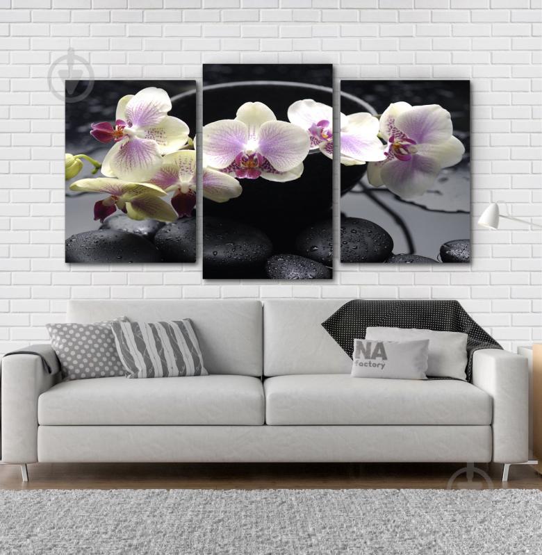Модульна картина Poster-land Квіти Орхідея Art-100_3