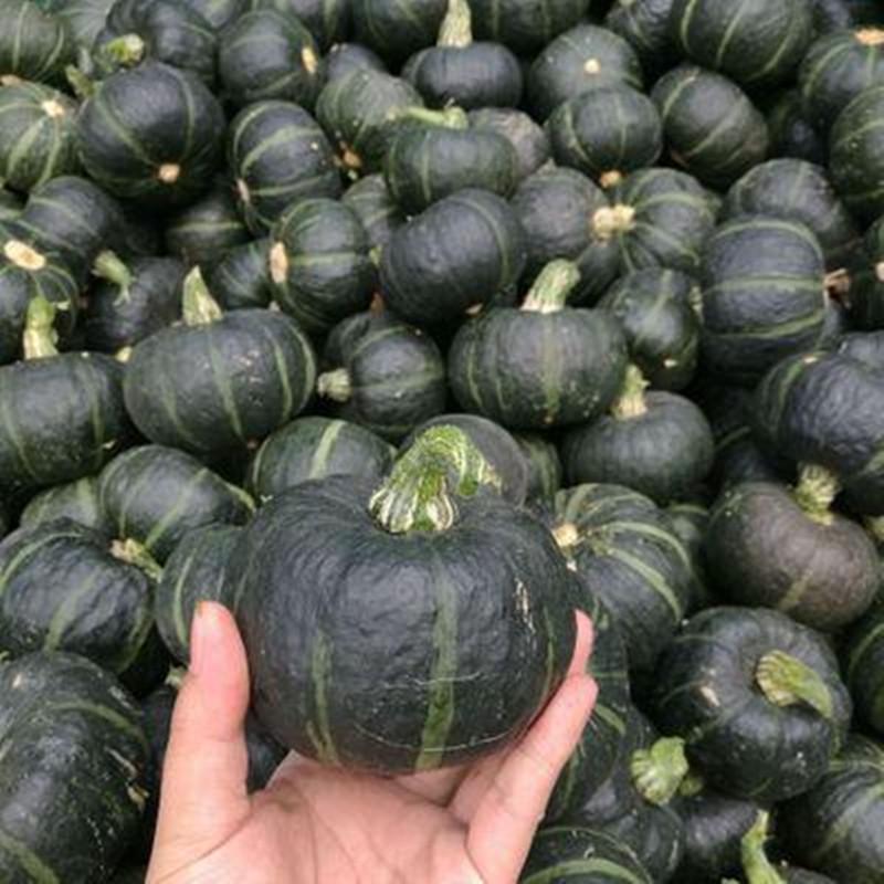 Семена Тыква Мини Бейбей Зеленая Сладкий каштан F1 5 шт. - фото 3