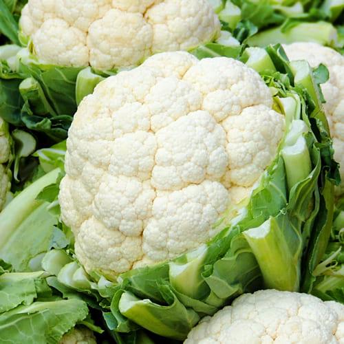 Семена Капуста Florium цвітна Ардент F1 (15991) Семена Капуста Florium цвітна Ардент F1 (15991)