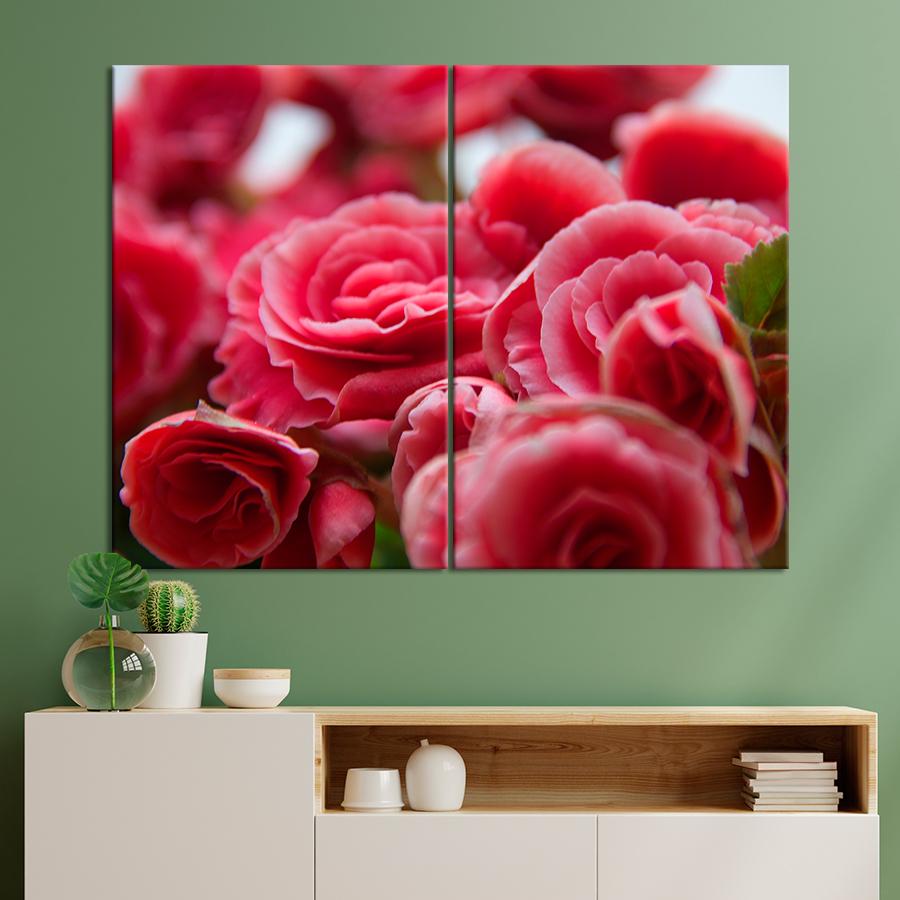 Картина цветы и растения Розовая бегония 165x122 см (A1062-2)
