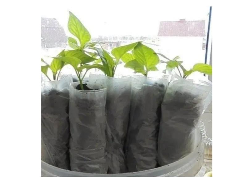 Рукав поліетиленовий для розсади 40 мкм 250 мм 500 м Білий (28080678) - фото 2 Рукав поліетиленовий для розсади 40 мкм 250 мм 500 м Білий (28080678) - фото 2