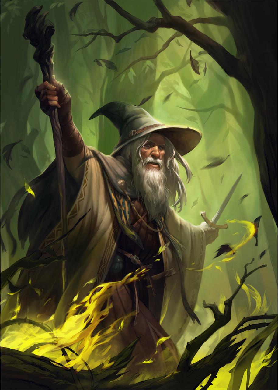 Картина GeekLand The Lord of the Rings Mage 60х40 см (LR 09.145)