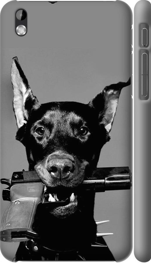 Чехол на HTC Desire 816 Доберман (2745m-169-42517)