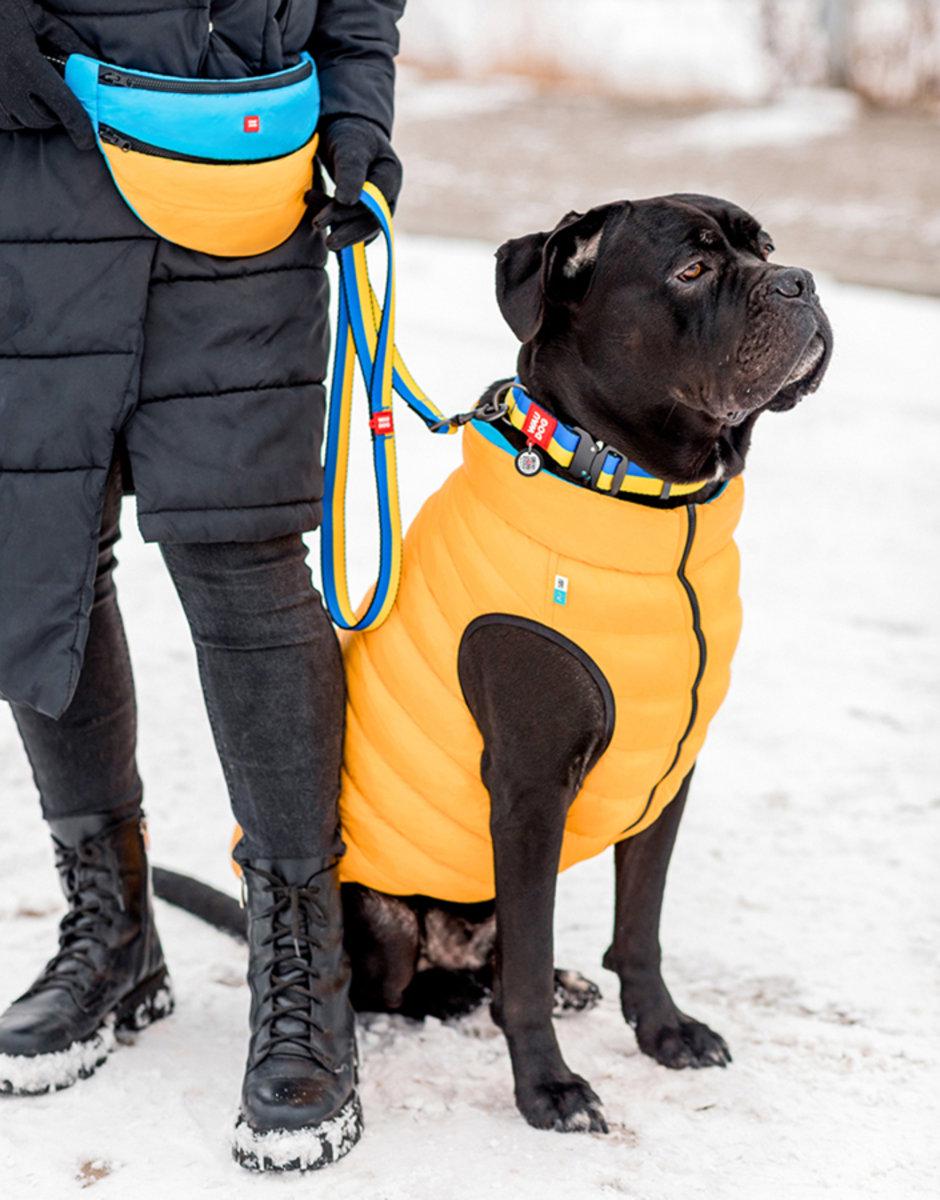 Повідець нейлоновий 20 мм 122 см (954) - фото 2 Повідець нейлоновий 20 мм 122 см (954) - фото 2
