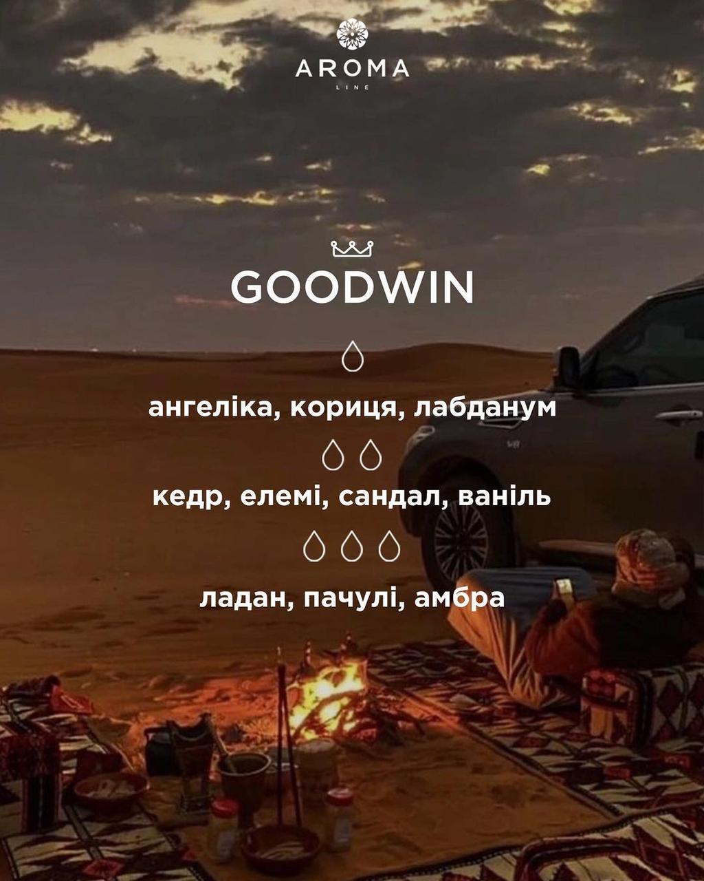 Аромат/отдушка Goodwin для изготовления парфюмов косметики и аромадиффузоров 500 г - фото 2