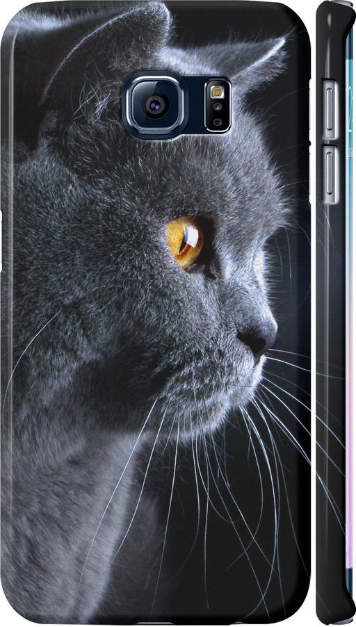 Чехол на Samsung Galaxy S6 Edge G925F Красивый кот (3038m-83-42517)