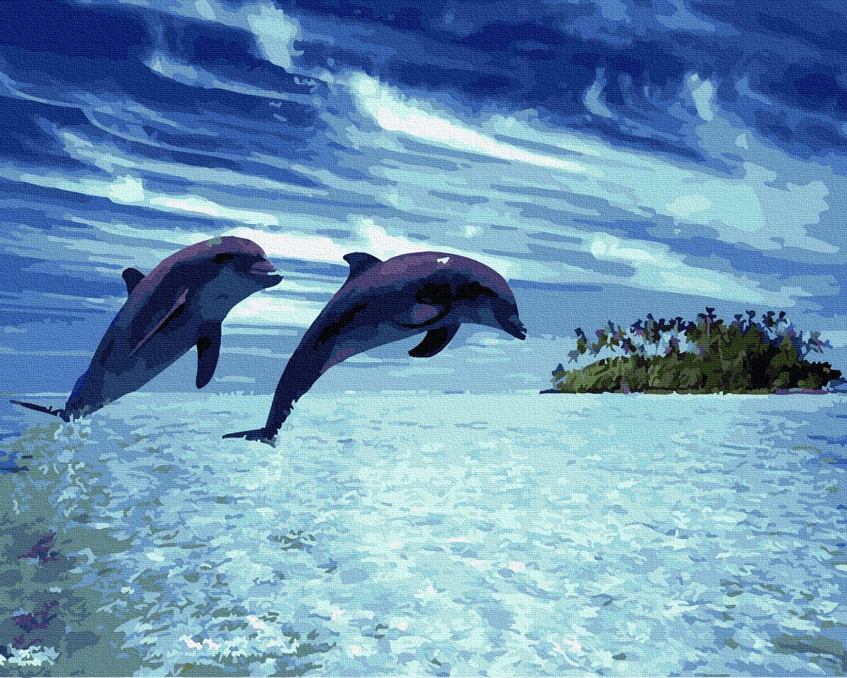 Картина за номерами Brushme Дельфіни на узбережжі 40х50 см (GX5212) Картина за номерами Brushme Дельфіни на узбережжі 40х50 см (GX5212)