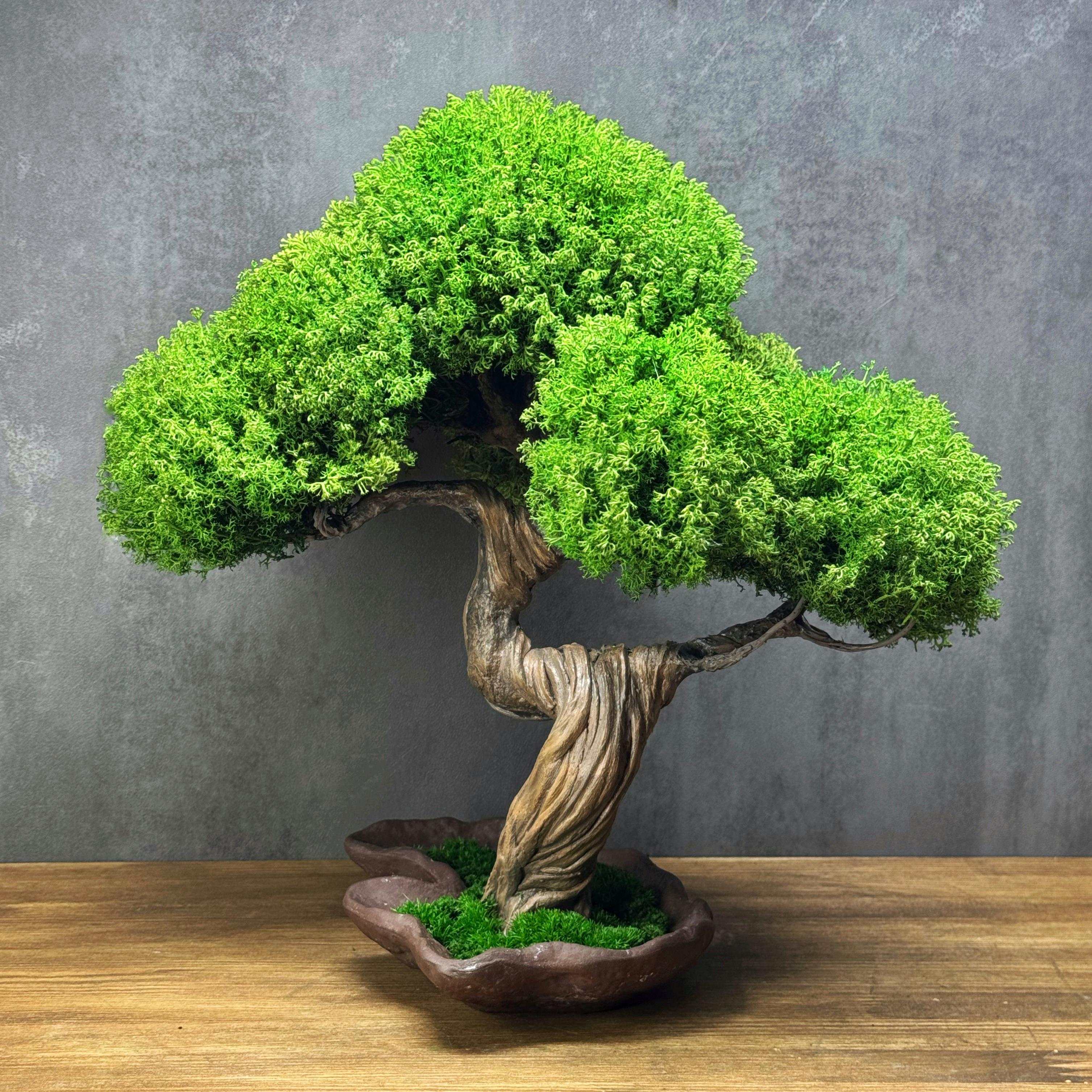 Бонсай зі стабілізованих рослин 35х35 см