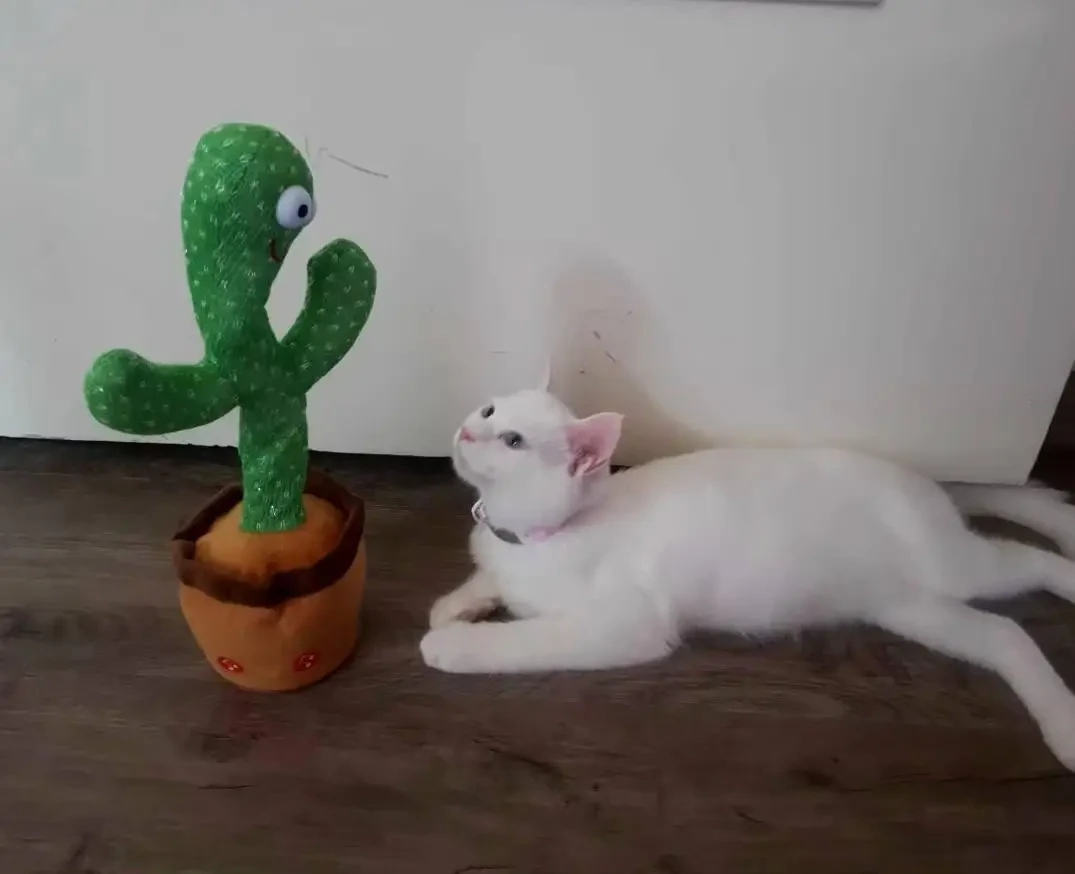 Іграшка дитяча Танцюючий Кактус 120 пісень (3 шт. АА) (28523562) - фото 7