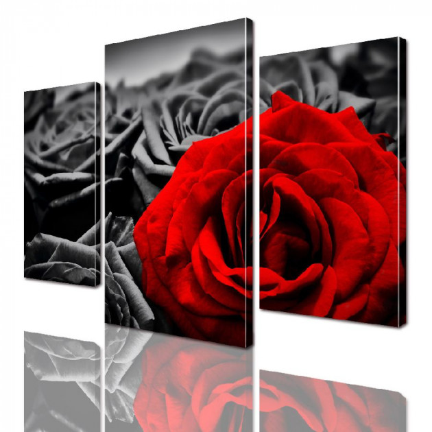 Картина модульная ArtStar Красная роза ADFL0036 120х180 см 3 части