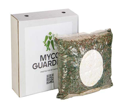 Біоінсектицид MYCO GUARDIAN Paecilomyces lilacinum 4 л (12506664)