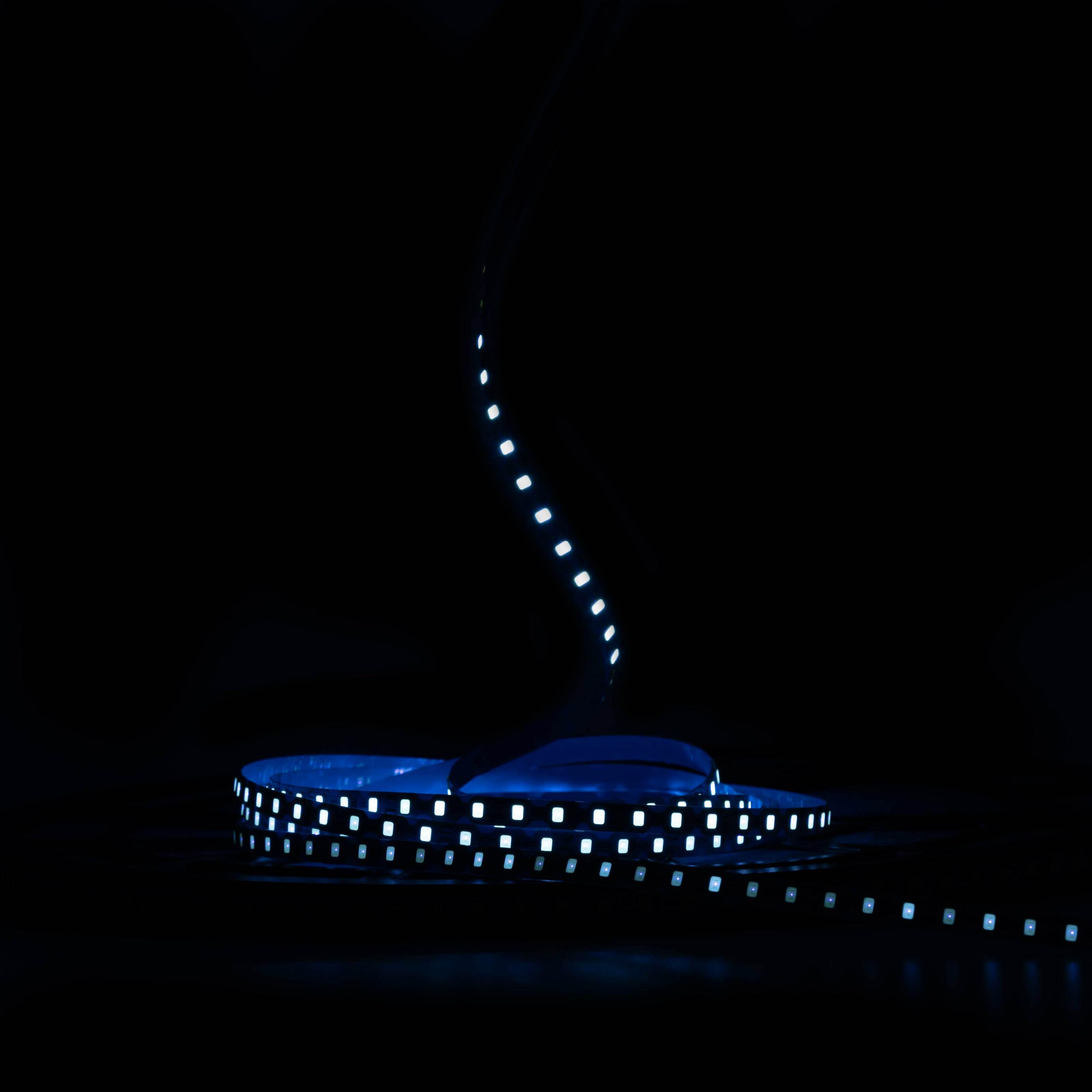 Светодиодная лента Prolum IP20 2835/120 50M S-TYPE Series-S 12V 6 мм Голубой Лед (28522756) - фото 2 Светодиодная лента Prolum IP20 2835/120 50M S-TYPE Series-S 12V 6 мм Голубой Лед (28522756) - фото 2