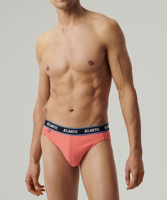Набор трусов-брифов мужских Atlantic 3MP-200 хлопчатобумажных L 3 шт. Темно-синий/Серый/Коралловый (27565566) - фото 2 Набор трусов-брифов мужских Atlantic 3MP-200 хлопчатобумажных L 3 шт. Темно-синий/Серый/Коралловый (27565566) - фото 2