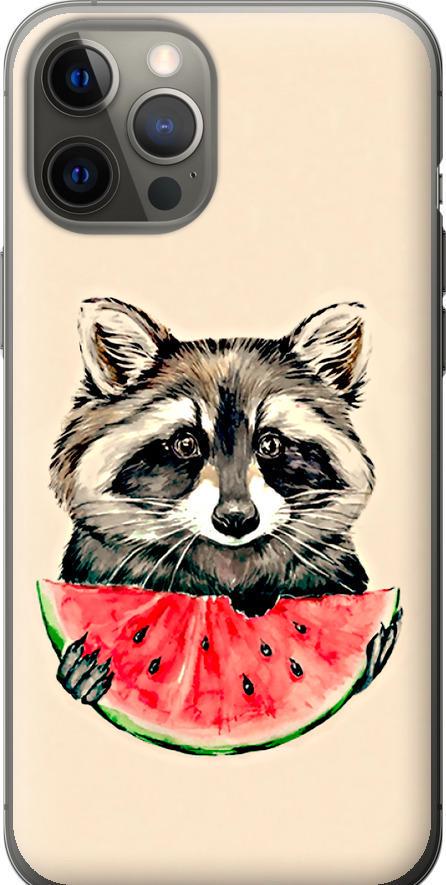 Чехол на iPhone 12 Pro Max Енотик с арбузом (4605t-2054-42517)