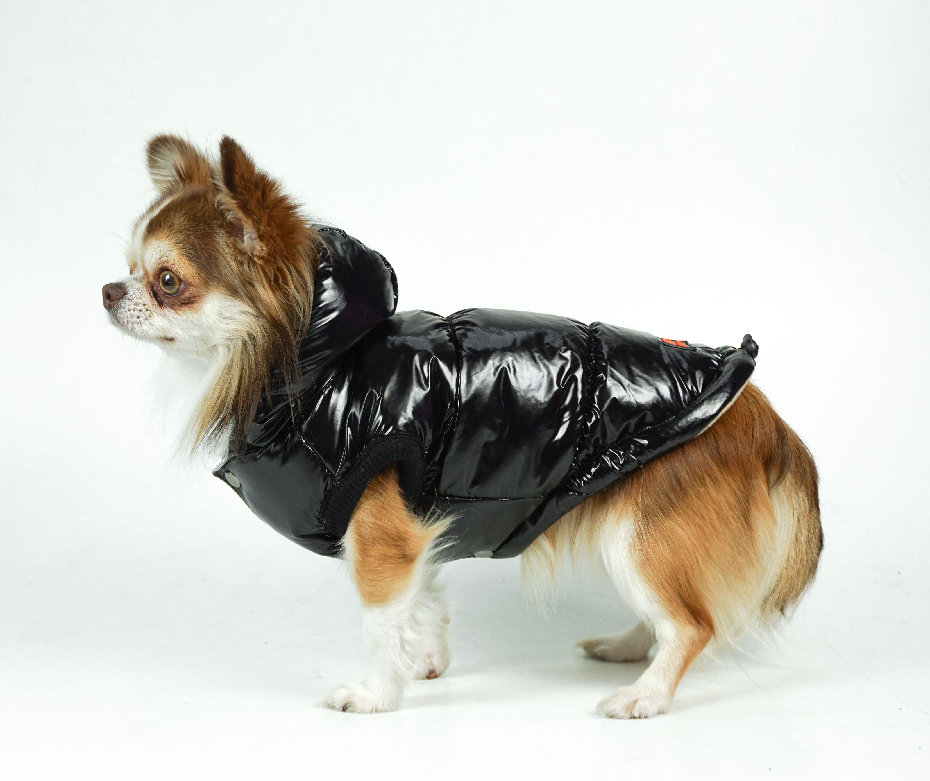 Жилет для собак G-52 лакований р. 2 Чорний (70579056)