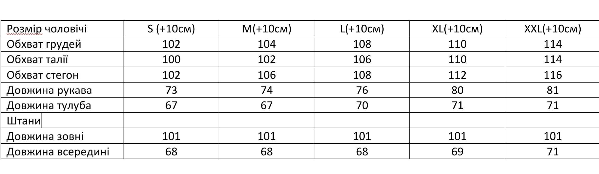 Костюм домашній чоловічий флісовий M Синій - фото 3