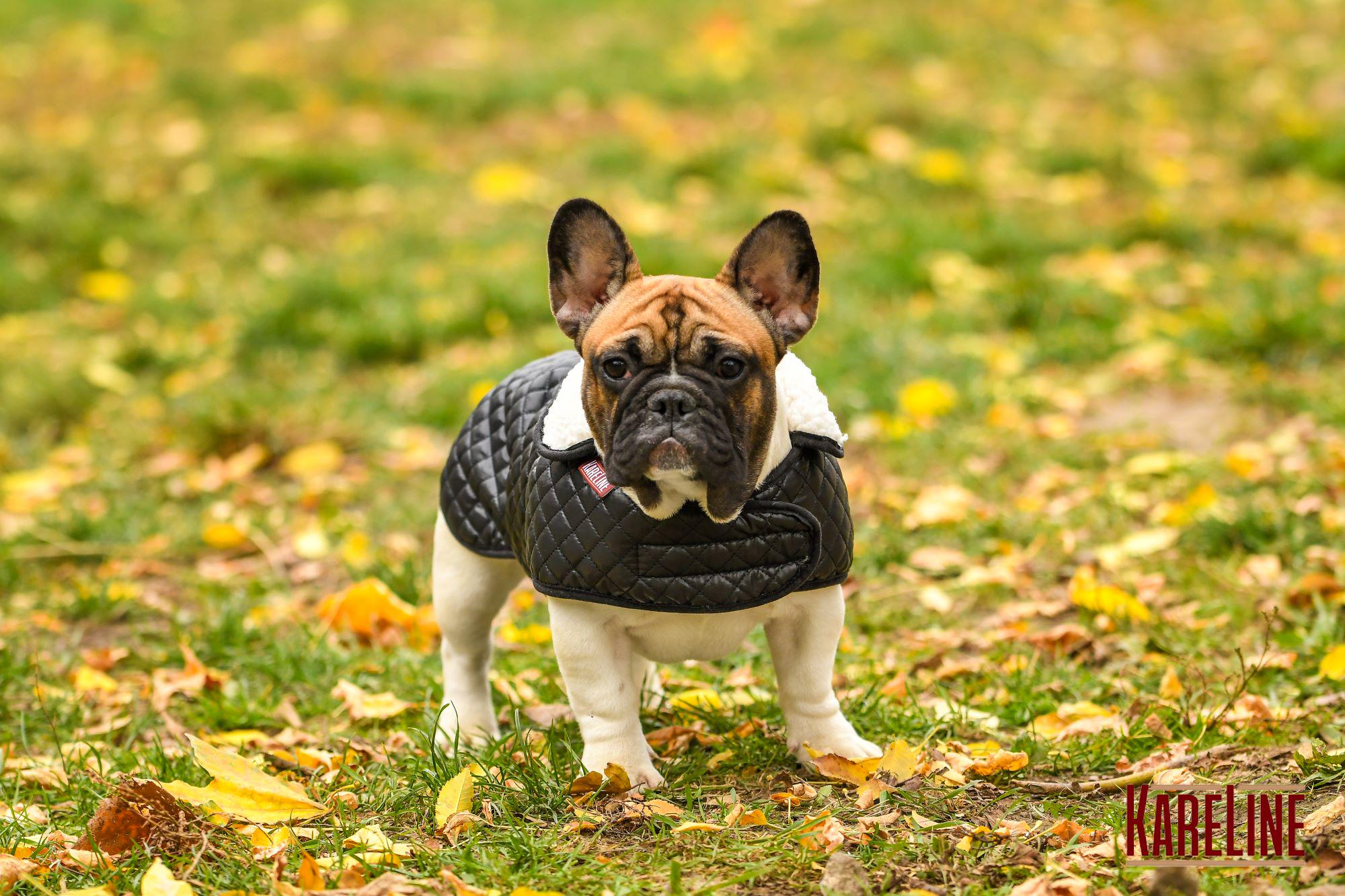 Жилетка KARELINE из стеганой плащевки на искусственном меху S (90022/1) - фото 5