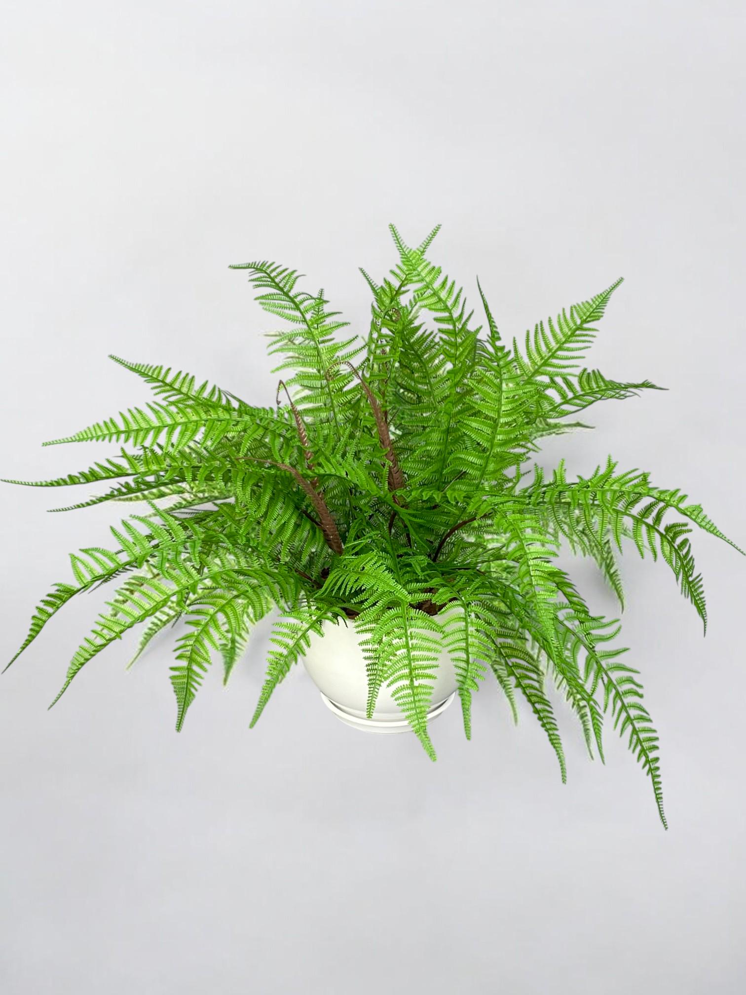 Композиция из искусственного папоротника в белом керамическом горшке Зеленый (А201)