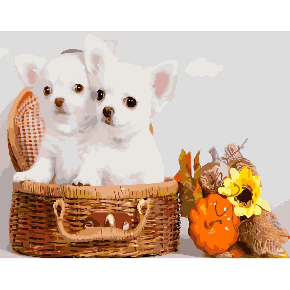 Картина по номерам Strateg Премиум Чихуахуа в корзине 40х50 см (GS406)