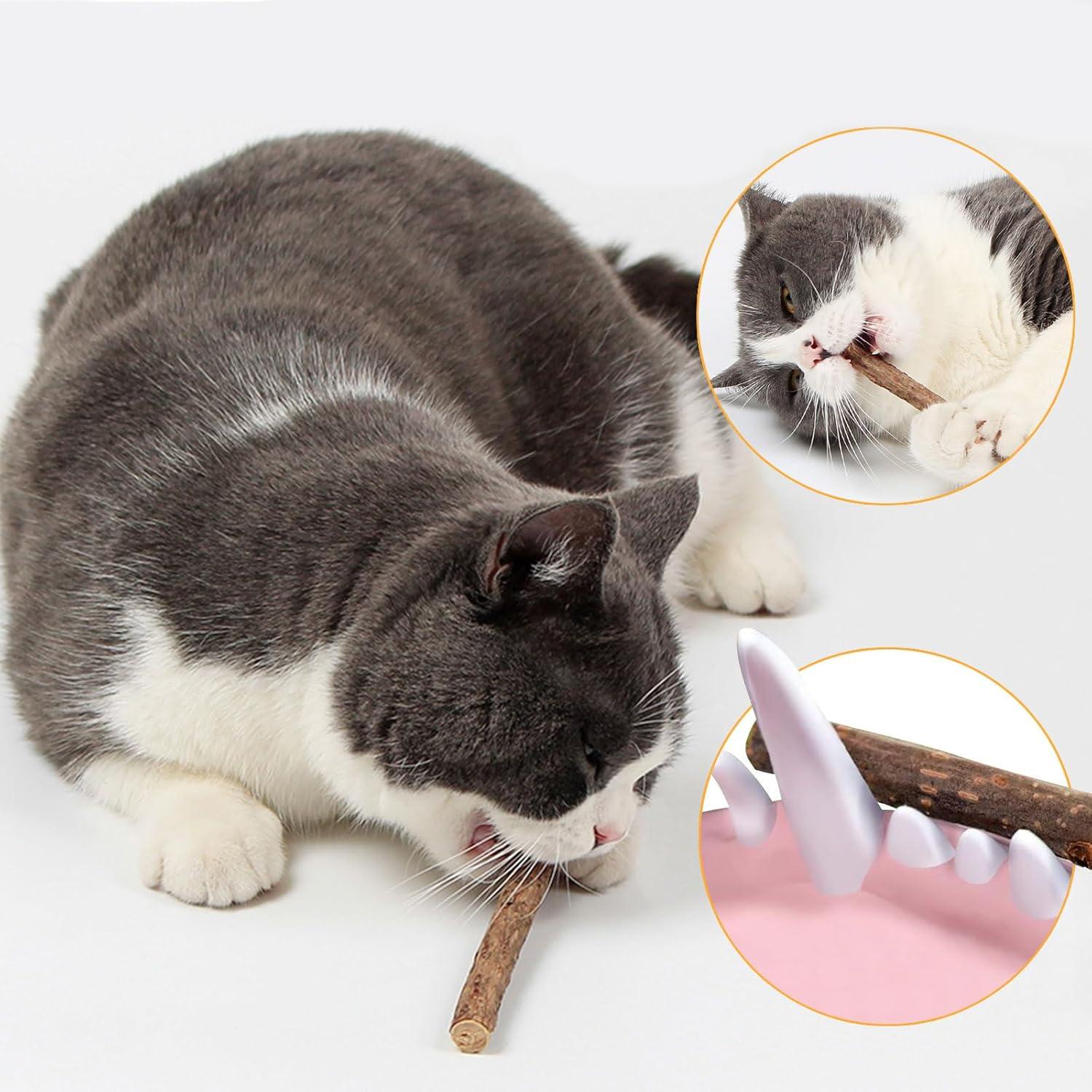 Натуральные сандаловые жевательные палочки кошке 6 шт. Коричневый (2743174635) - фото 7 Натуральные сандаловые жевательные палочки кошке 6 шт. Коричневый (2743174635) - фото 7