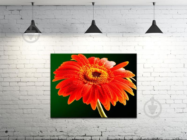 Картина на холсте ProfART S4560-c37 45 x 60 см Цветок (hub_RBdC28067)