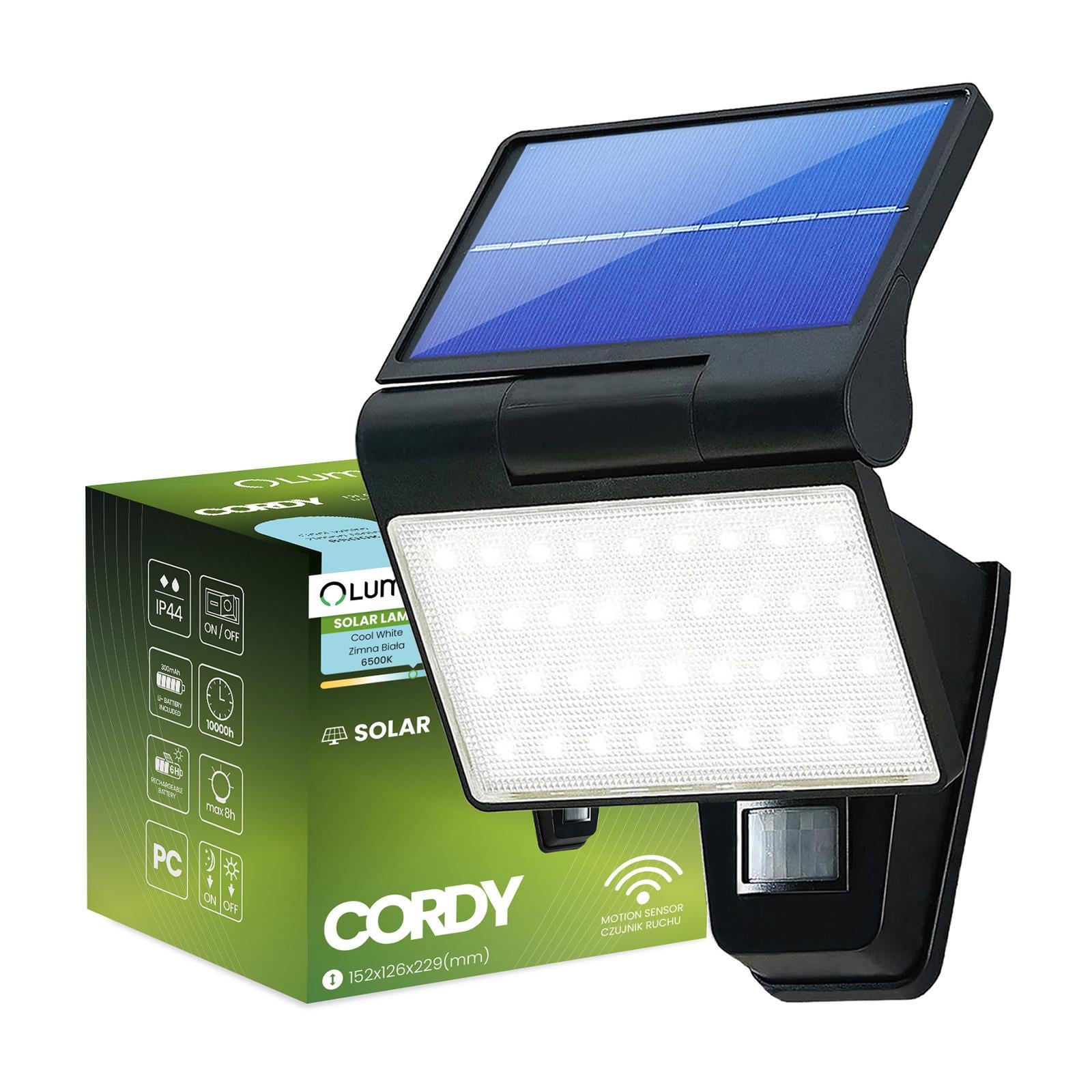 Прожектор-LED сонячний фасадний Lumiled Cordy із датчиками руху та сутінків/холодне світло 6500 K/IP44 (10604)