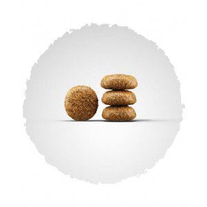 Корм Josera Miniwell Минивель для взрослых собак мелких пород 10 кг - фото 3