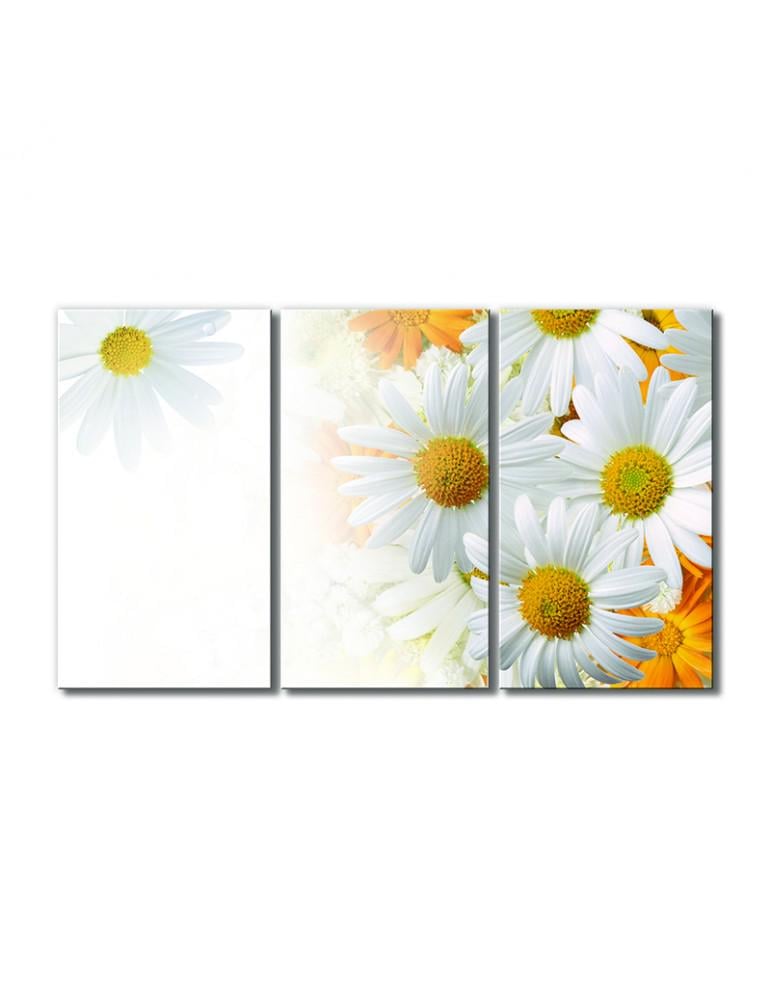 Картина модульная Ромашковое утро 3 модуля 60x90 см