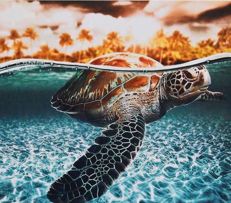 Картина за номерами TK Group 30113 30 Черепаха 30х40 см (110500)