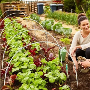 Каркас для теплицы из прочного стекловолокна 60х40 см 10 м (C00629-2) - фото 9 Каркас для теплицы из прочного стекловолокна 60х40 см 10 м (C00629-2) - фото 9