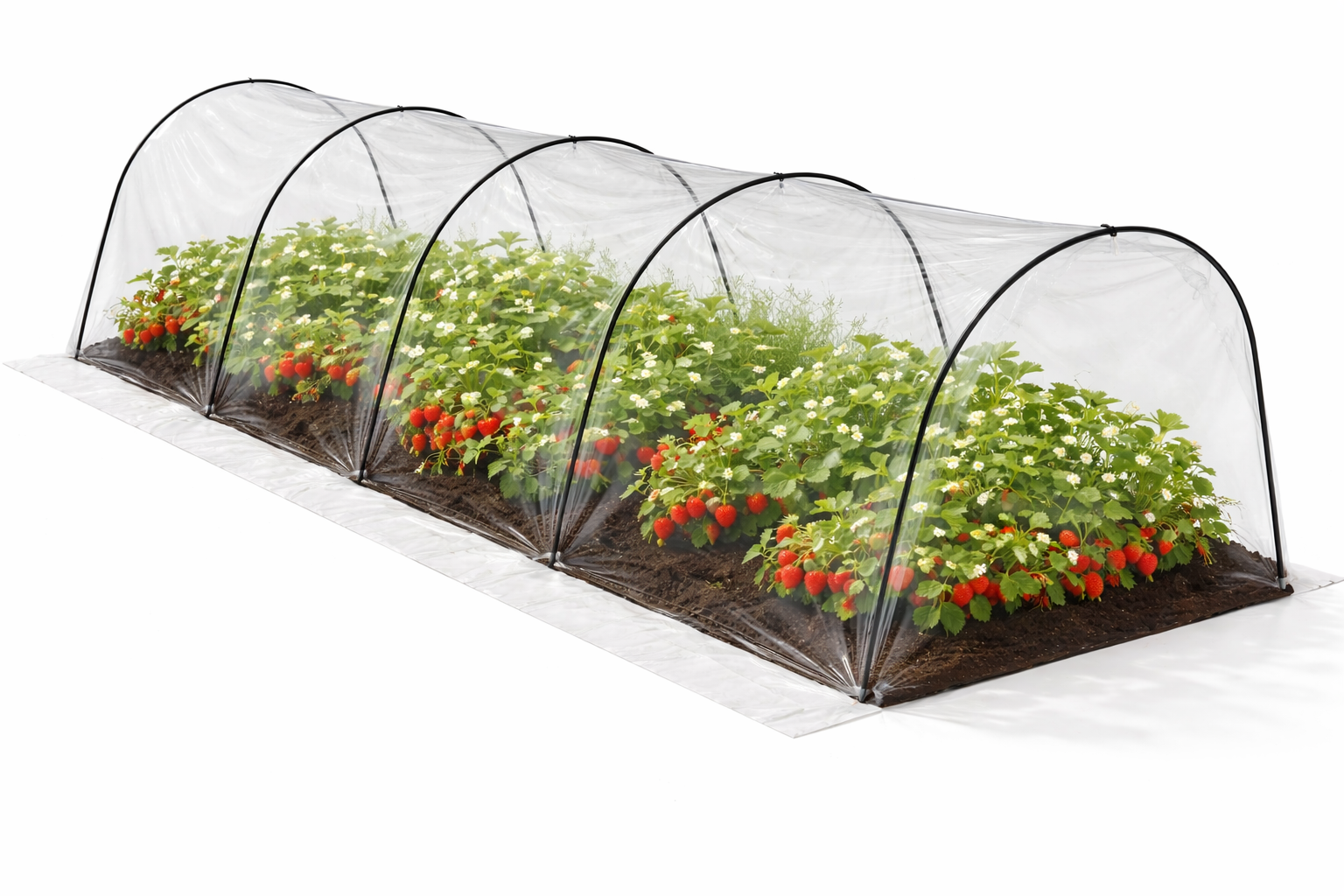 Теплица садовая GardenLine EVA5900 арочная туннельная 1,8х6 м Прозрачный