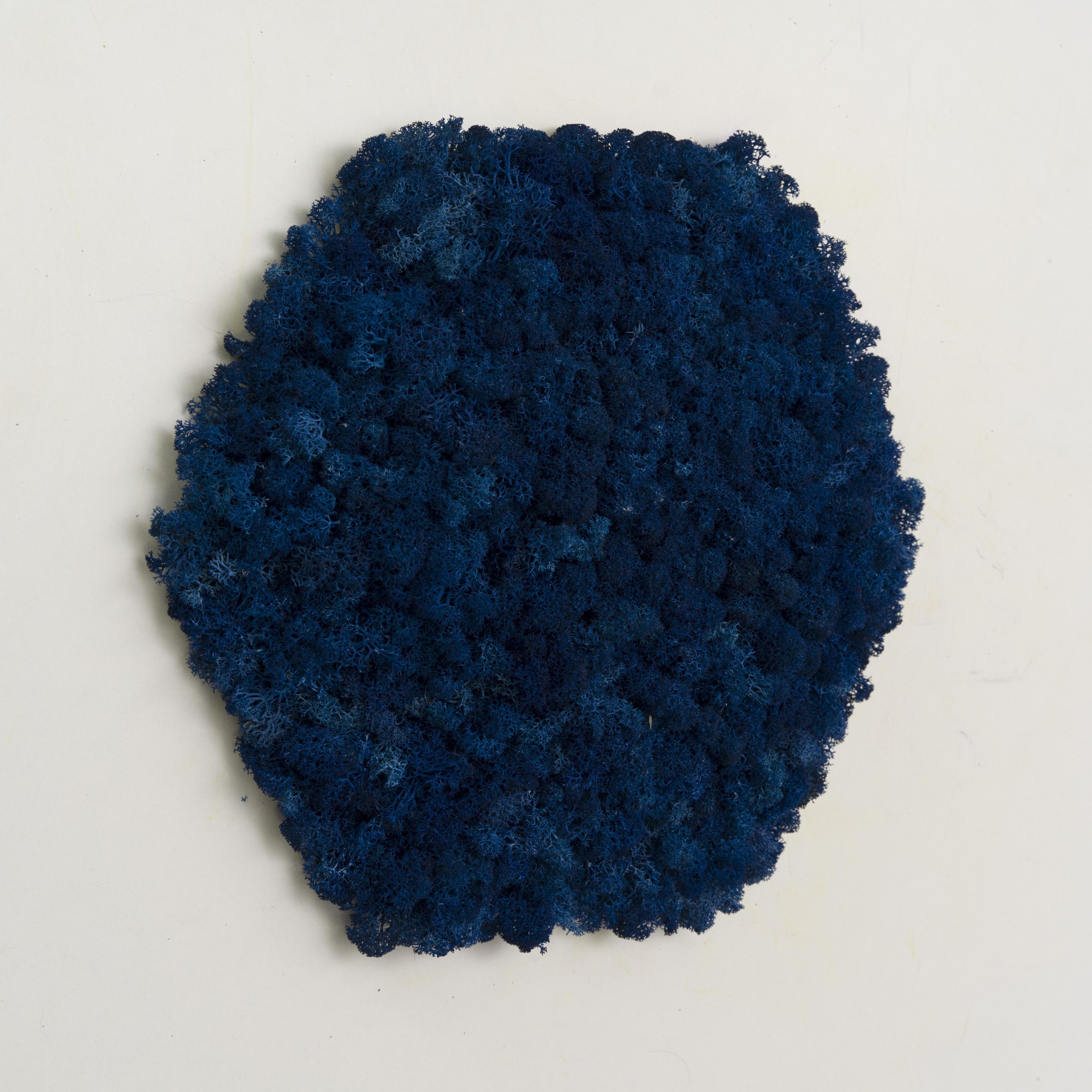 Декоративне панно з моху Organic Design шестикутникова панель 33 см Blue (702-12)