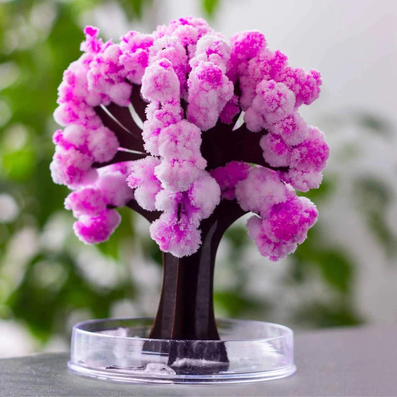 Набор для выращивания кристаллов Magic Sakura 19х16х1 см Розовый (49130) - фото 3 Набор для выращивания кристаллов Magic Sakura 19х16х1 см Розовый (49130) - фото 3