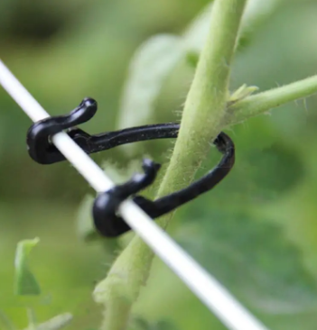 Затискач-гачок для підв'язки виноградної лози 1,8-2,6 мм 100 шт. Чорний - фото 4 Затискач-гачок для підв'язки виноградної лози 1,8-2,6 мм 100 шт. Чорний - фото 4