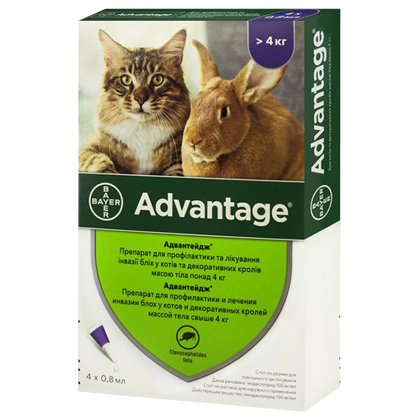 Краплі для котів Bayer Advantage 80 від бліх понад 4 кг 0,8 мл (4007221046394)