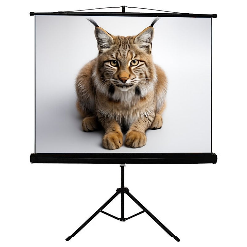 Екран проекційний Walfix SNТ-2 мобільний тринога 84" 170х127 см 4:3 (tf548)