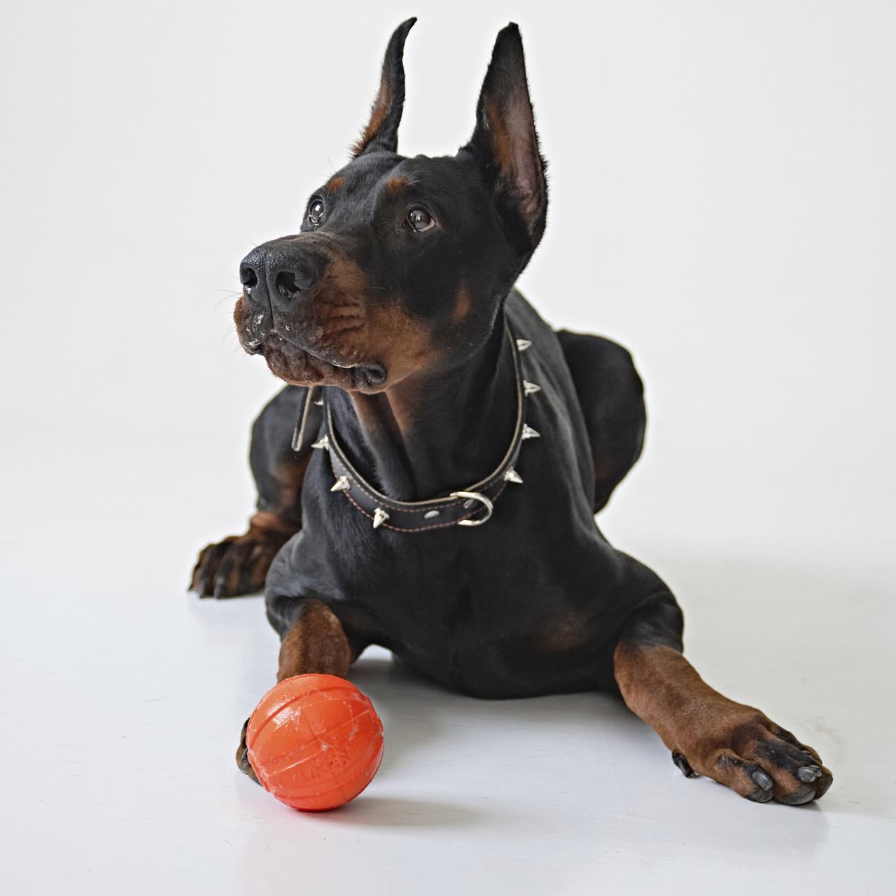 Іграшка для собак великих порід Liker 9 М'ячик (6295) - фото 10