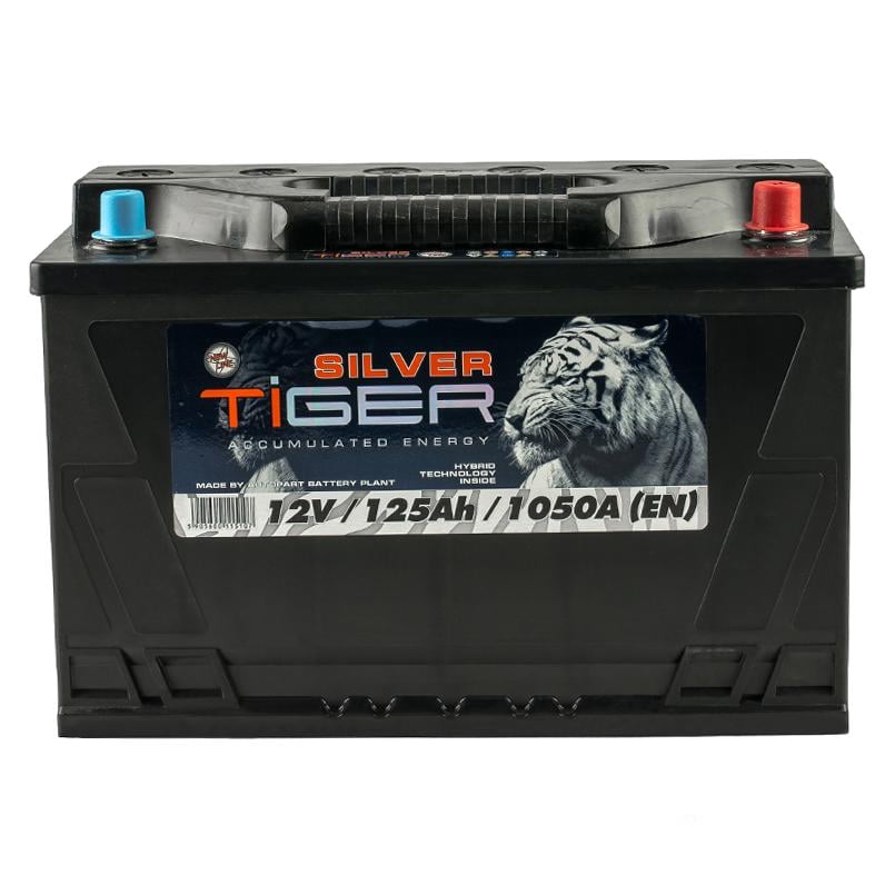 Акумулятор Tiger 125 Аh/12V Silver (AFS125-S00)