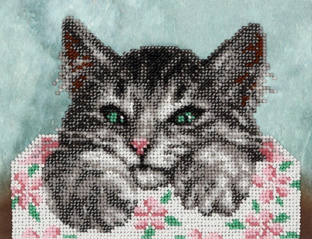 Вишивка бісером Котик Мурчик часткова викладка 18,5х14,5 см (1656975030)