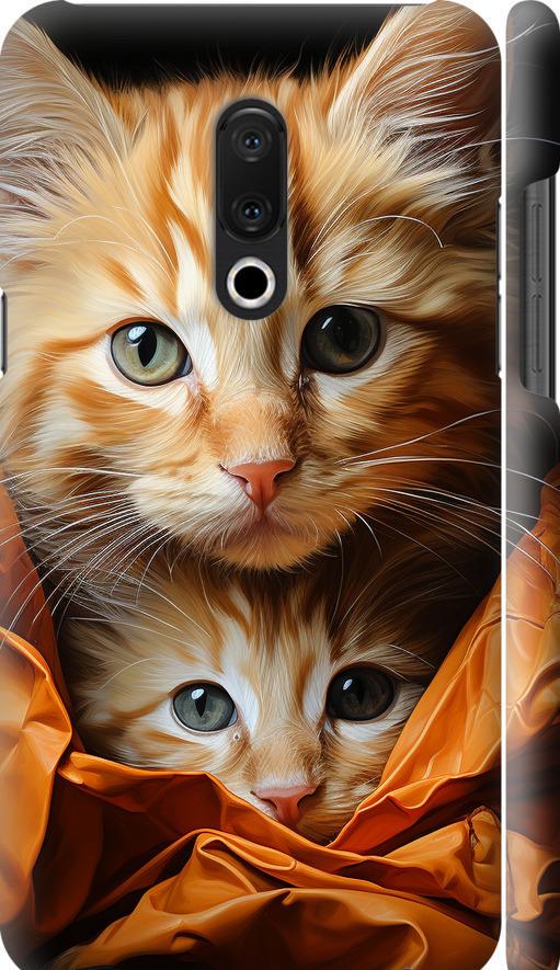 Чехол на Meizu 15 Plus Котики 2 (5664m-1473-42517) Чехол на Meizu 15 Plus Котики 2 (5664m-1473-42517)