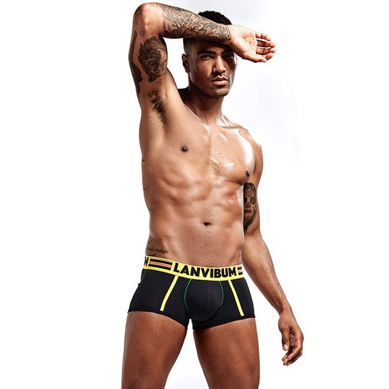 Комплект мужских трусов Lanvibum L 5 шт. Разноцветный (7324) Комплект мужских трусов Lanvibum L 5 шт. Разноцветный (7324)