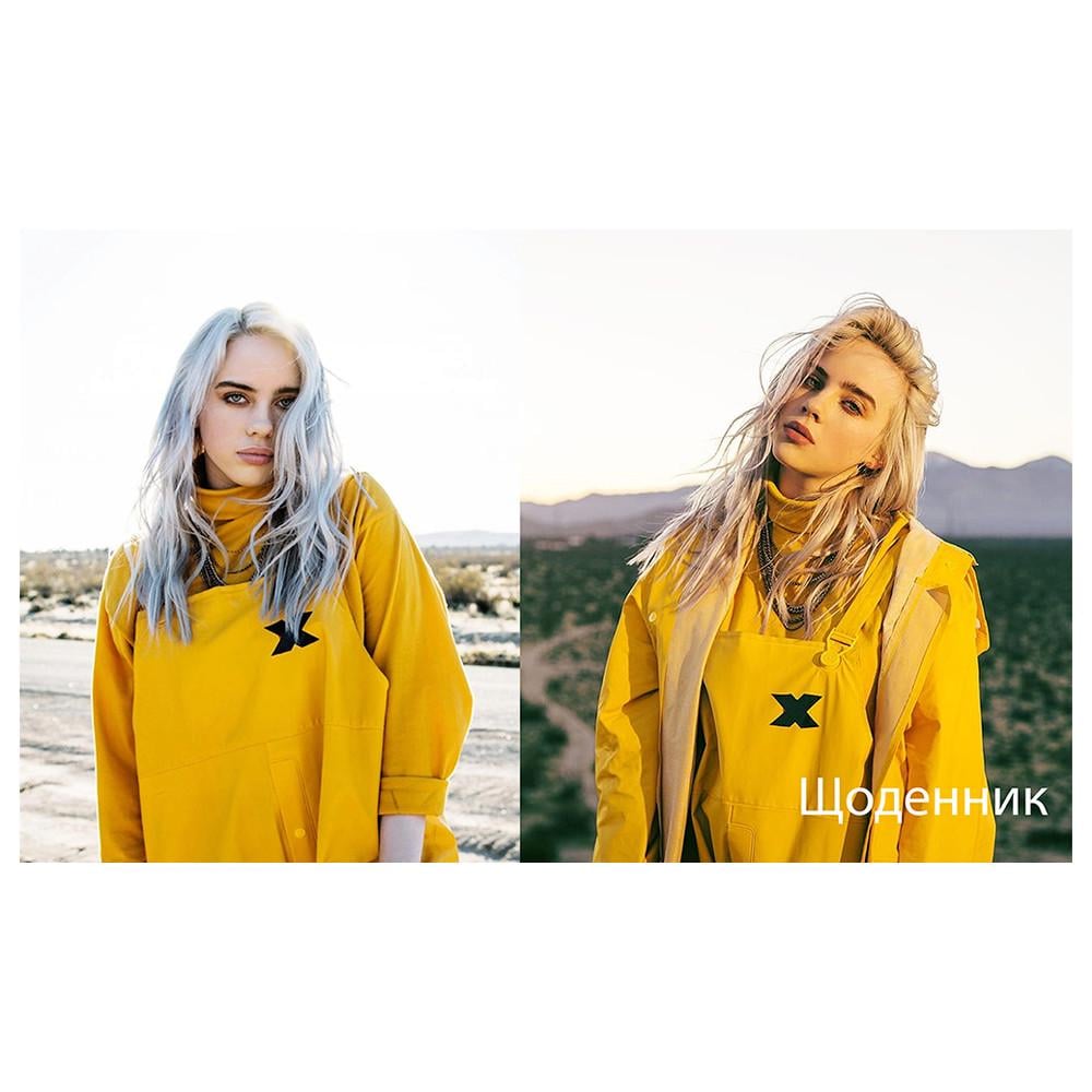 Дневник школьный Билли Айлиш Billie Eilish (DN_008)