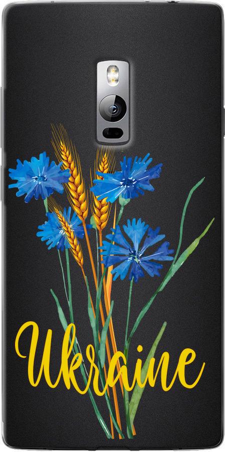 Чехол на OnePlus 2 Ukraine v2 (5445u-386-42517) Чехол на OnePlus 2 Ukraine v2 (5445u-386-42517)