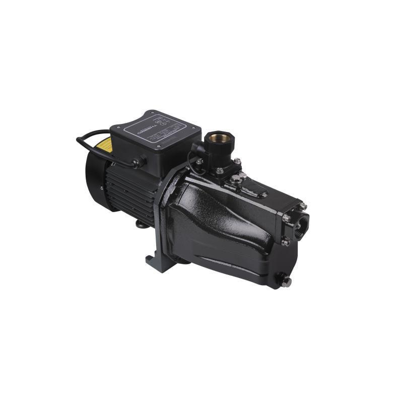 Поверхностный насос самовсасывающий Thermo Alliance SJETN-100N 0,75 кВт (00046698)